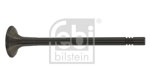 Exhaust Valve